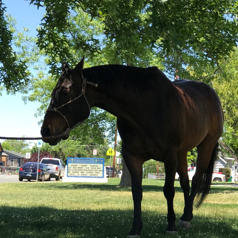 Meet your Posher, Mar